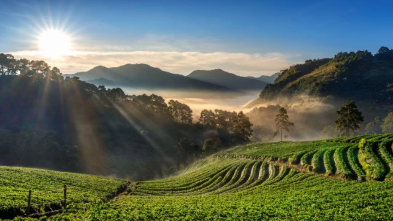 हिवाळ्यात ट्रिपचं प्लॅनिंग करताय? दक्षिण भारतातील ‘ही’ ठिकाणे नक्की घालतील भुरळ