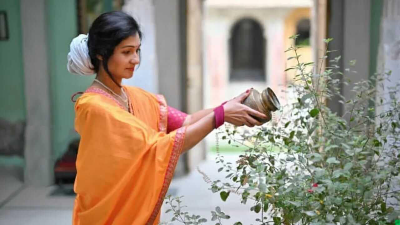 Benefits About Tulsi : पहाटे तुळशीला पाणी का घालावे? जाणून घ्या धार्मिक आणि वैज्ञानिक कारणे..