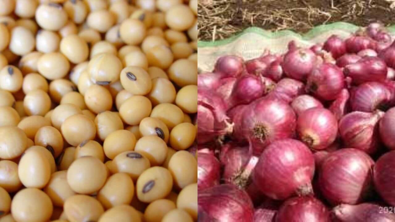 Market Price: बाजार समित्यांमध्ये कांदा आणि सोयाबीनच्या दरामध्ये मोठी घसरण; शेतकरी संकटात !