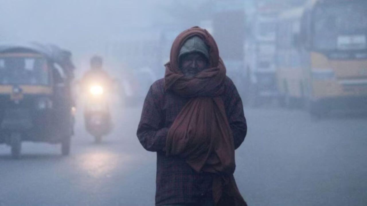 Cold Wave: महाराष्ट्रासह देशभरात थंडीचा कडाका वाढला; नागरिकांना आरोग्याची काळजी घेण्याचे आवाहन
