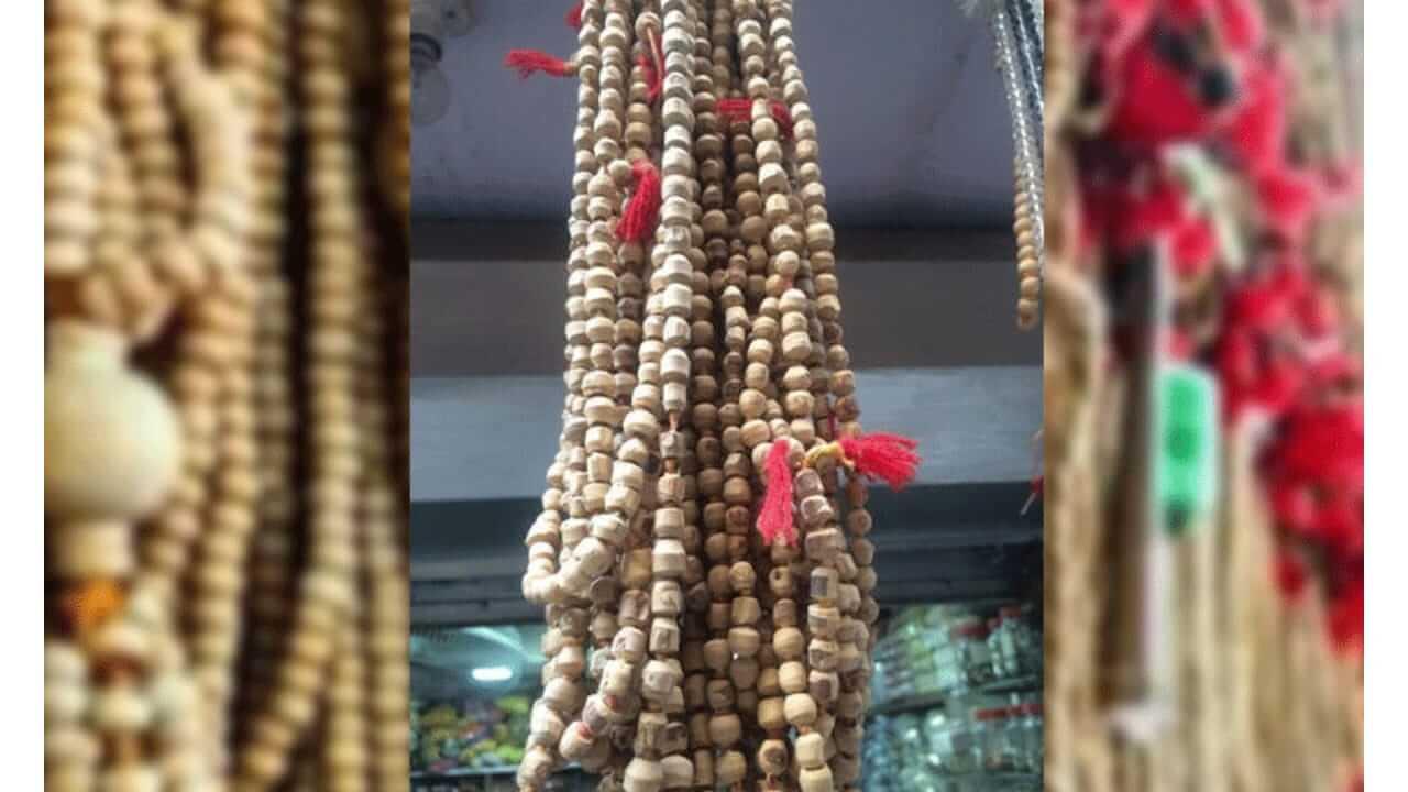 Tulsi Mala : तुळशीची माळ गळ्यात घातल्यावर शास्त्राचे ‘हे’ नियम पाळाच..