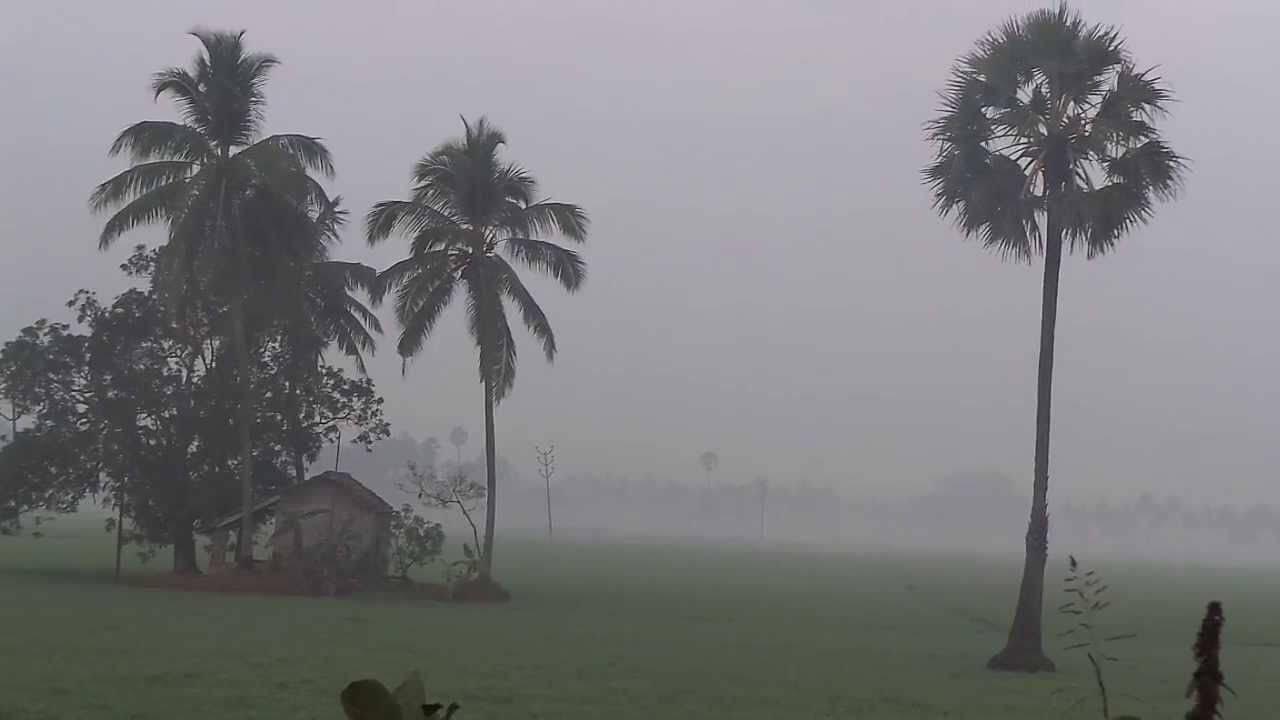 Weather Update: महाराष्ट्रातील हवामानात मोठा बदल; थंडीचा जोर पुन्हा वाढण्याची शक्यता