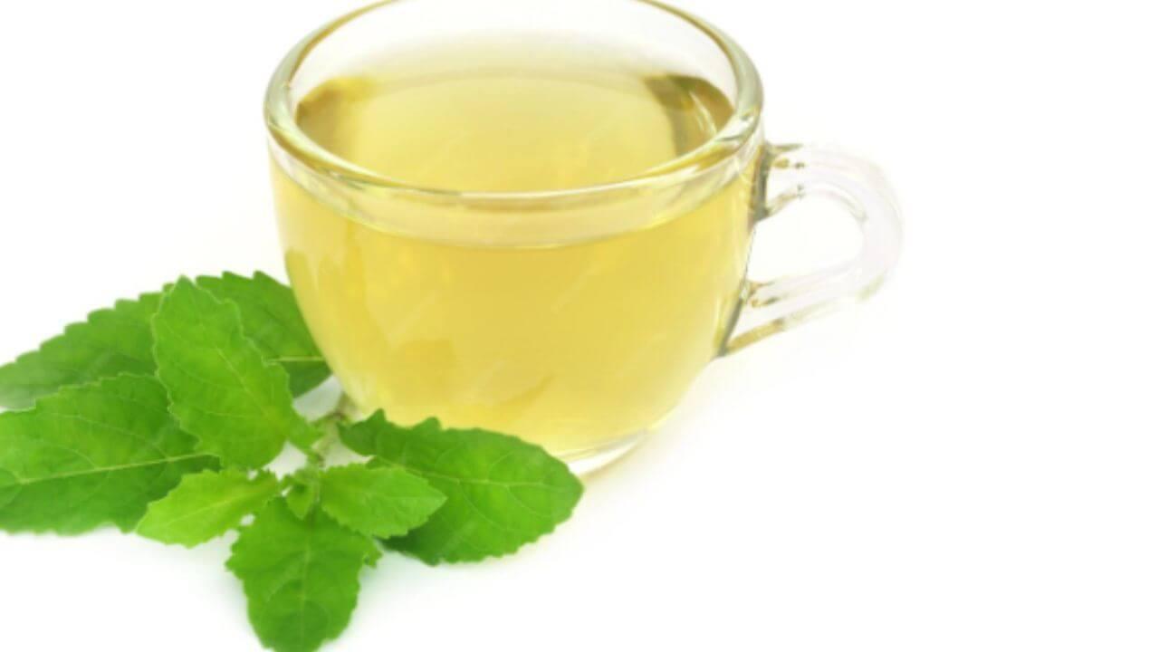 हिवाळ्यात दुधाच्या चहाऐवजी प्या तुळशीचा चहा, आरोग्यास मिळतील जबरदस्त फायदे