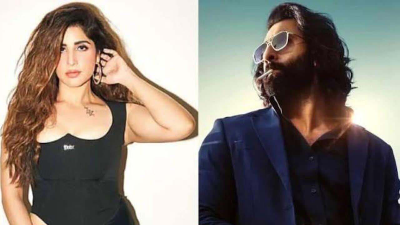 Animal 2 मध्ये रणबीर कपूरसोबत पुन्हा दिसणार ही लोकप्रिय अभिनेत्री