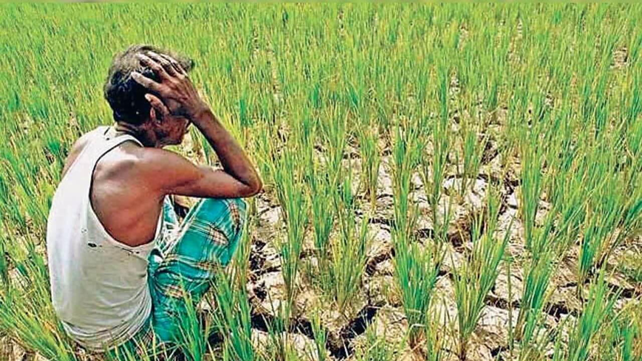 Farmer Suicide: धक्कादायक! अवघ्या 11 महिन्यांत विदर्भ आणि मराठवाड्यात इतक्या शेतकऱ्यांच्या आत्महत्या!