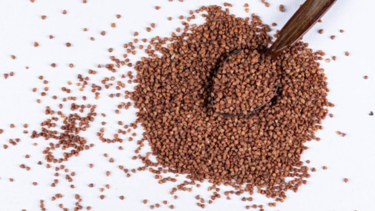 हिवाळ्यात आहारात नक्की समाविष्ट करा नाचणी, आरोग्याला मिळतील फायदेच-फायदे