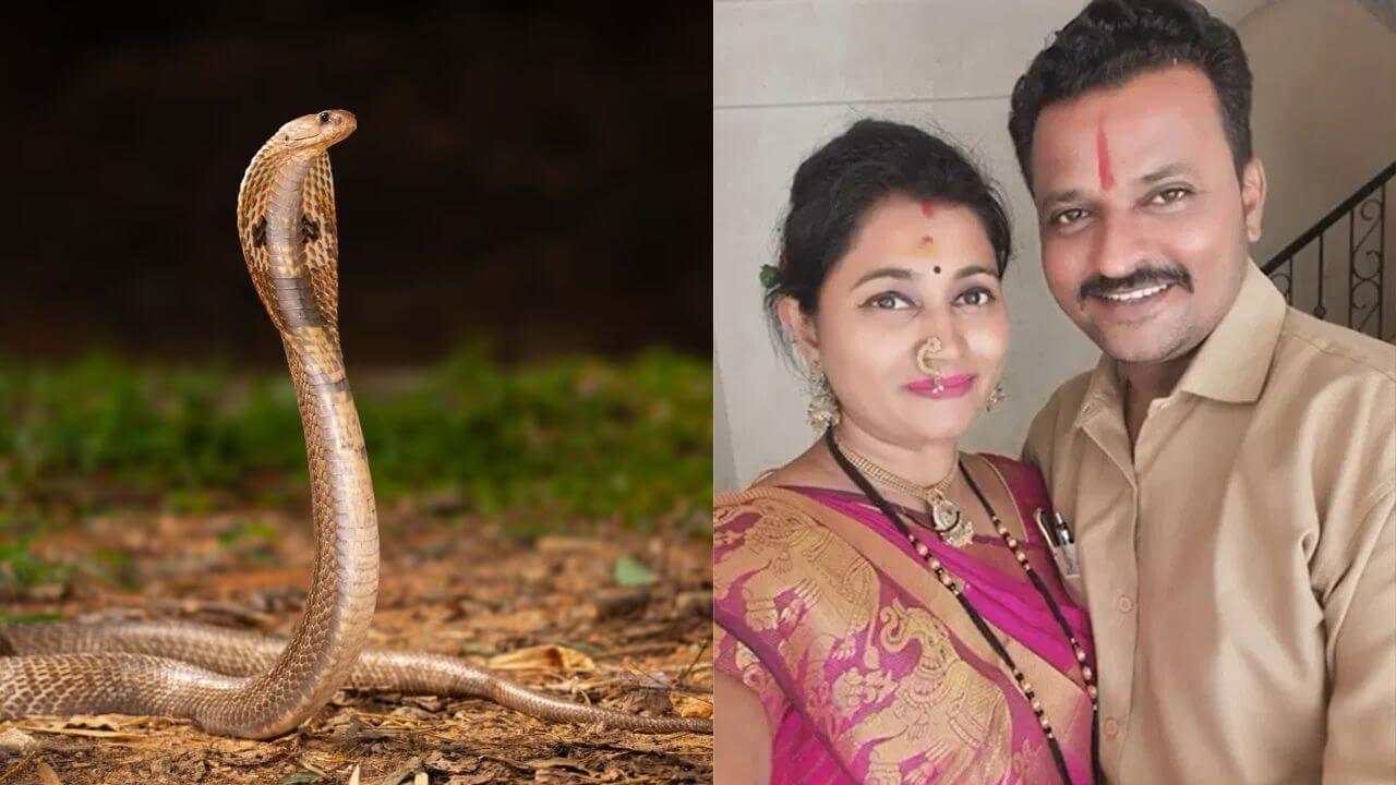 विषारी सर्पदंश करून पत्नीला संपवलं; अखेर बदलापूरमधील मास्टरमाईंड पतीच्या कृत्याचा पर्दाफाश!