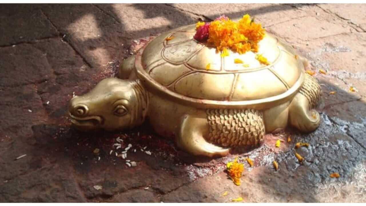 Tortoise At Temples : मंदिरात देवापुढे कासव का असते? जाणून घ्या ..