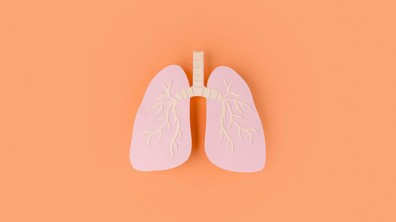 फुफ्फुसे मजबूत ठेवतील ‘हे’ ४ आयुर्वेदिक उपाय, नियमित केल्यास मिळेल फायदा