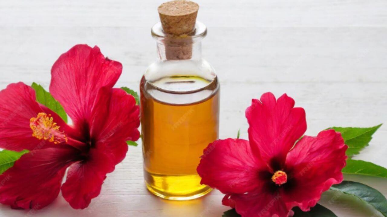 केस वेगाने वाढण्यासाठी मदत करते जास्वंद तेल, घरी कसं बनवायचं जाणून घ्या