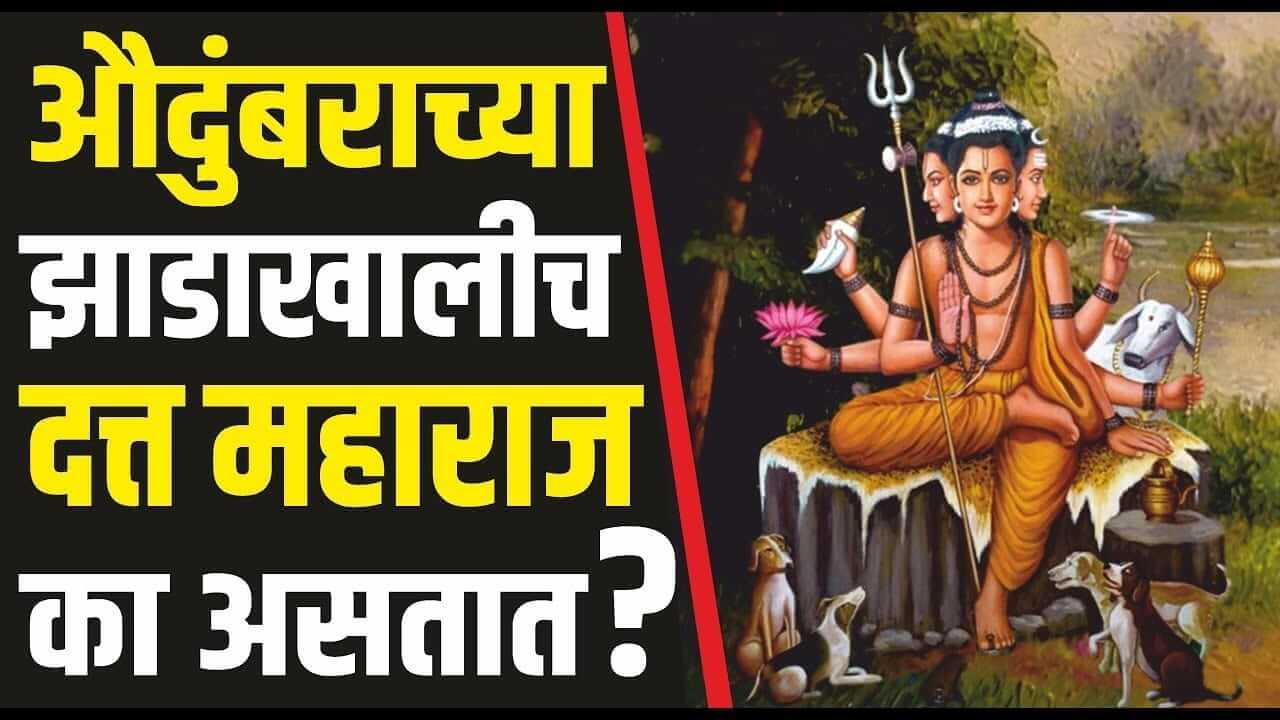 Datta Jayanti 2025 : औदुंबराच्या झाडात असतो दत्तगुरुंचा वास; यामागील पौराणीक कथा जाणून घ्या
