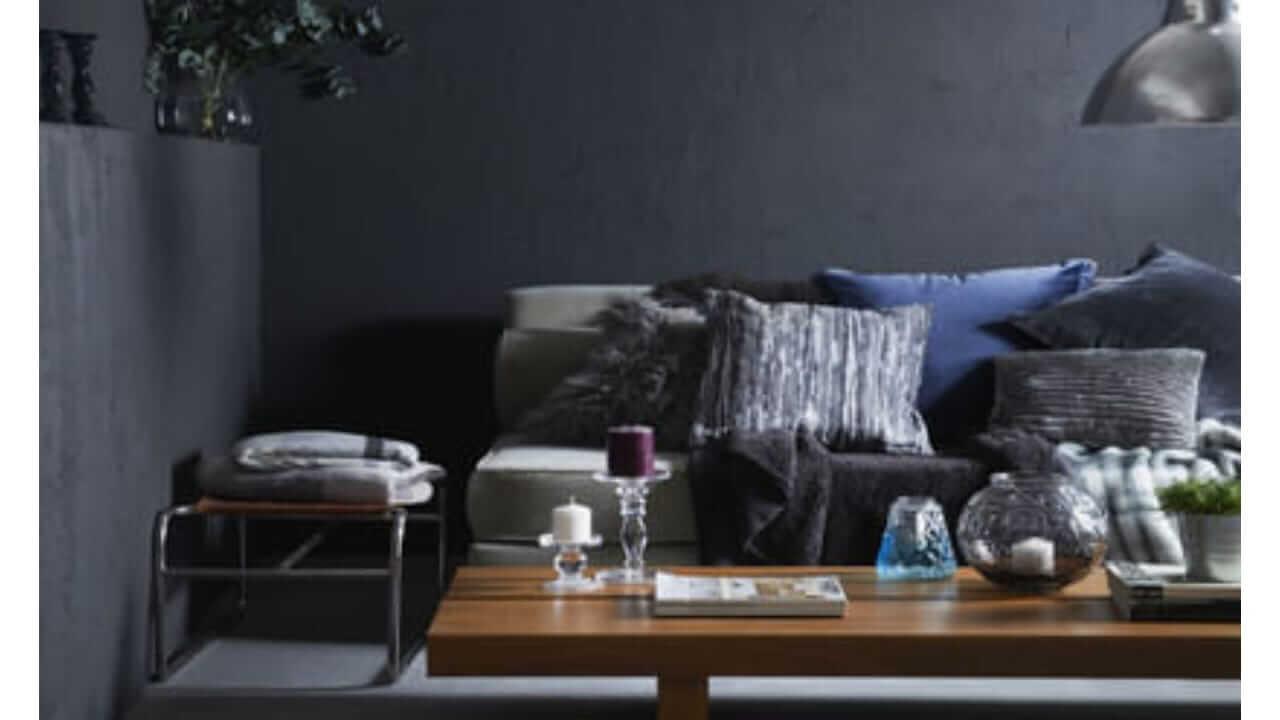 Vastu Tips : तुमच्या घराच्या भिंतींना काळा रंग देताय? ओढावेल संकट; काय सांगते शास्त्र..