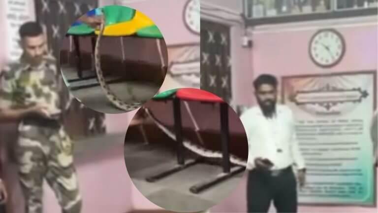 चेंबूर मतदान केंद्रात आढळला भलामोठा घोणस, व्हायरल व्हिडीओने एकच खळबळ