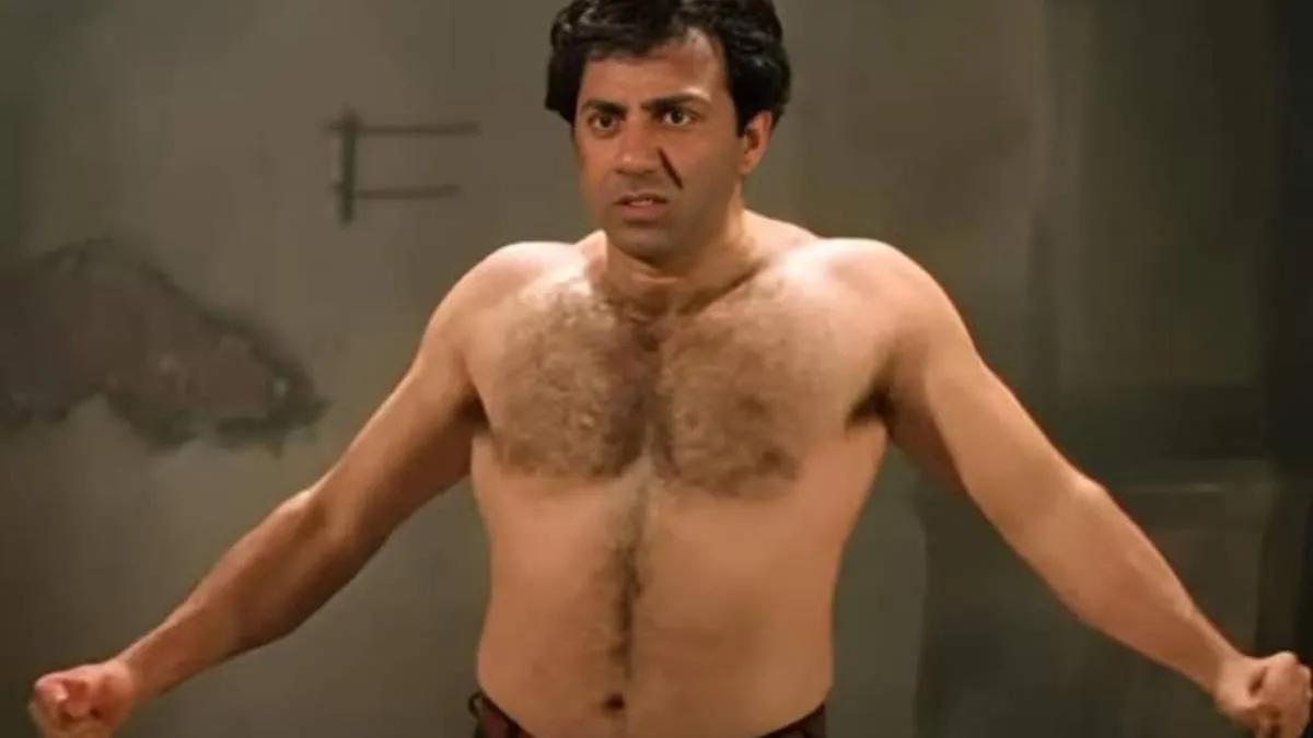 बॉर्डर आणि गदर नंतर सनी देओलच्या या कल्ट चित्रपटाचा दुसरा पार्ट येणार? जाणून घ्या