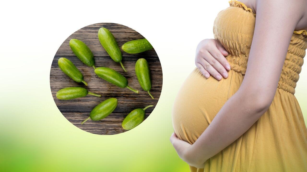 प्रेग्नेंसीमध्ये नियमित खा तोंडलीची भाजी, दूर होतील विविध समस्या