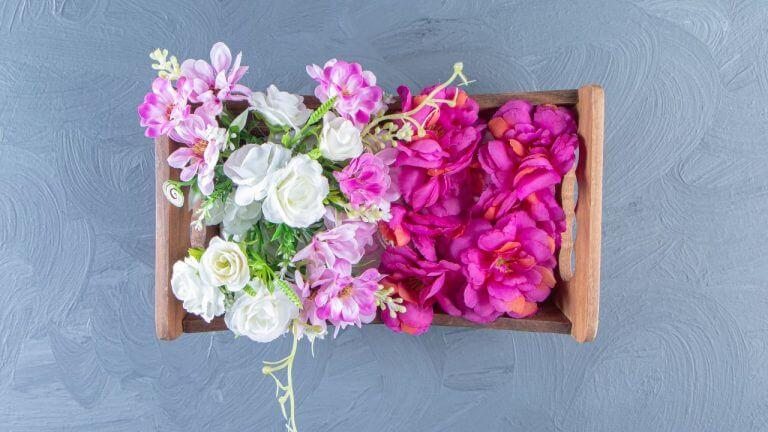 केस गळतीपासून ते पांढरे होण्यापर्यंत विविध समस्या दूर करतात ‘ही’ ४ फुले