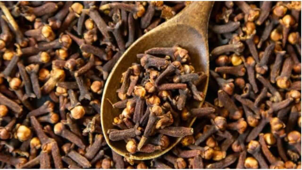 Vastu Shastra : पाकिटात ठेवा 3 अख्खे लवंग, आर्थिक समस्या होईल दूर…