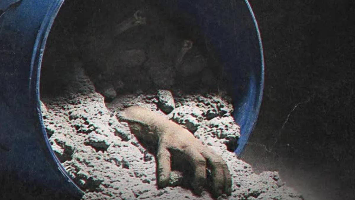 नीळा ड्रम आणि हनीमून हत्या यांचा रिपीट शो दाखवणारी वेबसीरीज, कुठे पाहता येणार? जाणून घ्या