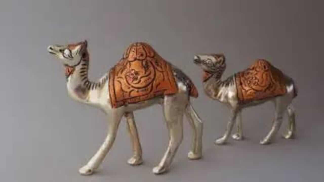 Vastu Shastra : घरात ठेवा उंटाची जोडी असलेली मूर्ती, कामात मिळेल यश