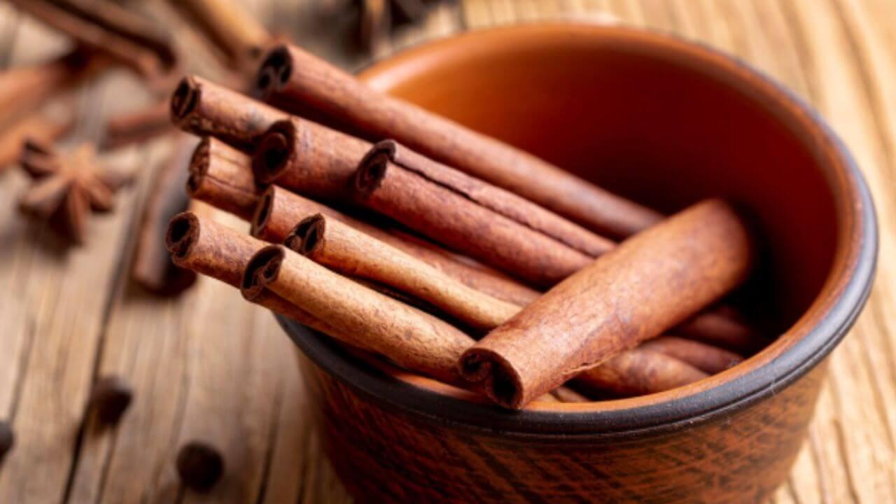 ‘या’ ५ आजारांमध्ये अजिबात खाऊ नका दालचिनी, होतील गंभीर परिणाम