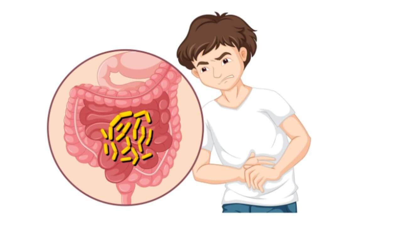 आतड्यांमधील घाण बाहेर फेकण्यास मदत करतात ‘या’ ४ आयुर्वेदिक वनस्पती, करा सेवन