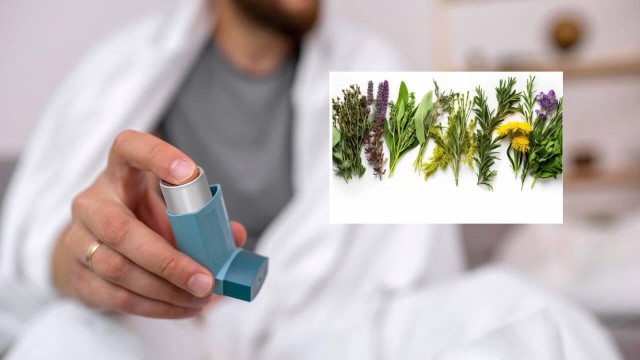 थंडीमुळे दम्याची समस्या वाढलीय? ‘या’ आयुर्वेदिक वनस्पती कमी करतील श्वसनाच्या समस्या