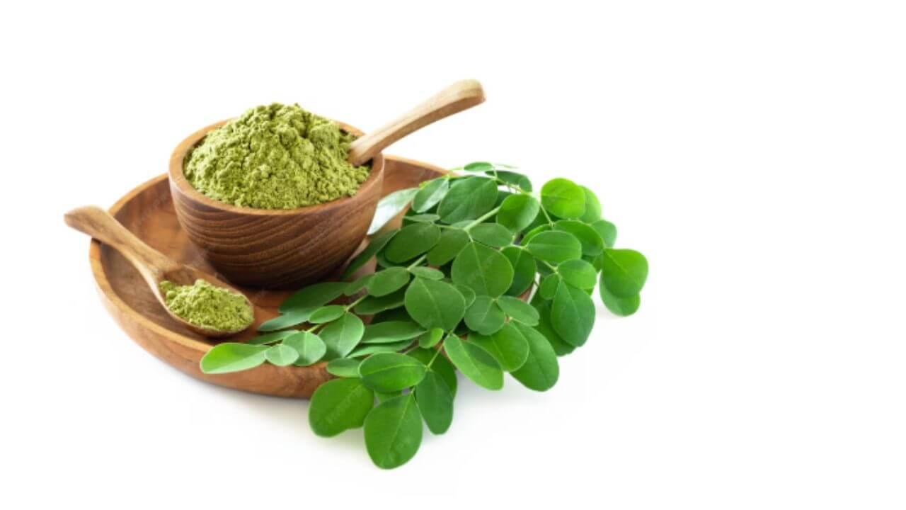 मुलांना रोज खायला द्या शेवग्याची पाने, मेंदू आणि हाडे मजबूत होण्यापासून मिळतील अनेक फायदे