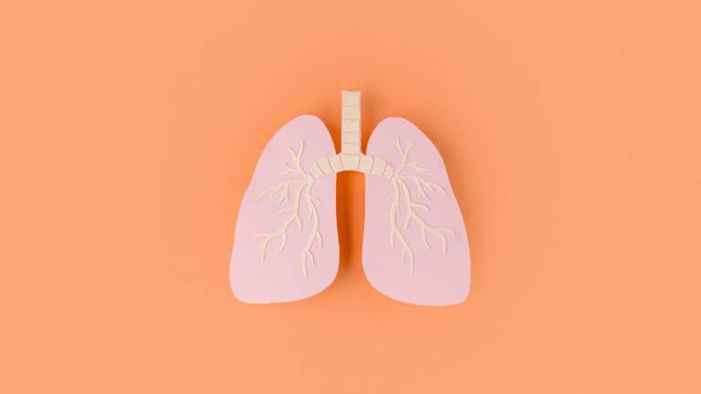 फुफ्फसे निरोगी आणि मजबूत ठेवण्यासाठी आवश्यक आहेत ‘हे’ व्हिटॅमिन्स आणि मिनरल्स
