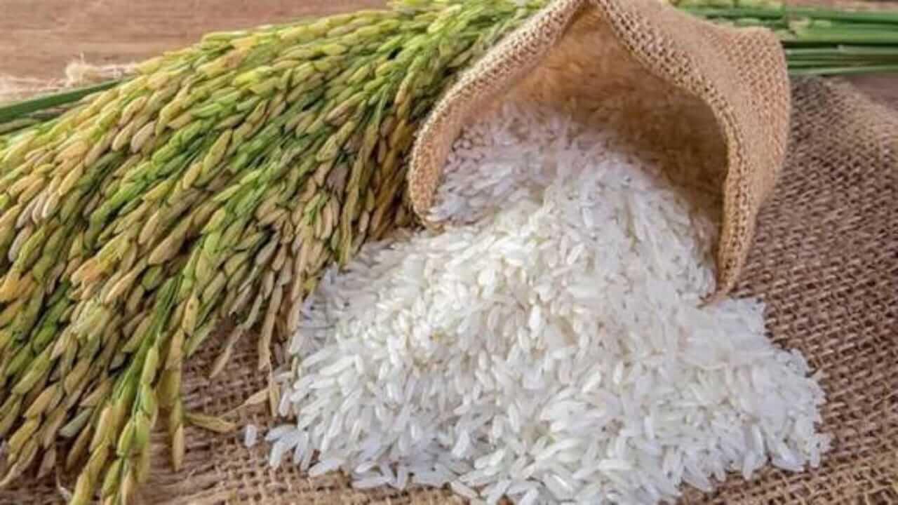 Astro Tips : तांदळाचा एक दाणा बदलू शकतं तुमचं नशिब, करा ‘हे’ सोपे उपाय…