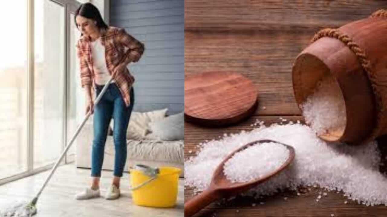 Vastu Tips : लादी पुसताना करा मिठाचा ‘हा’ सोपा उपाय, वास्तुदोष होईल दूर…