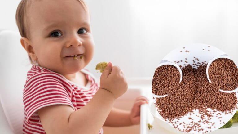 तुमच्या बाळाला खाऊ द्या मोड आलेली नाचणी, मेंदूच्या विकासापासून मिळतील अनेक फायदे