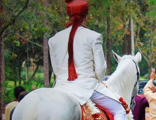 घोड़े पर बैठकर वर निकासी निकालने पर विवाद, 11 पर मामला दर्ज