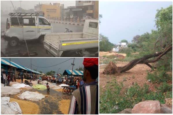 नौतपे के बीच एमपी में यहां ओलो के साथ जमकर हुई बारिश, गिरे पेड, भीगा अनाज
