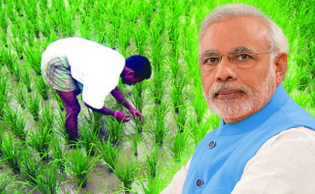 Budget 2019: किसानों को बजट में क्या-क्या मिली सौगात, विस्तार से पढ़िए यहां