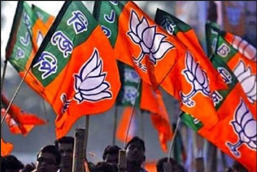 लोकसभा चुनाव से पहले संगठन में बड़ा बदलाव करने की तैयारी में BJP, इनकी हो सकती है छुट्टी