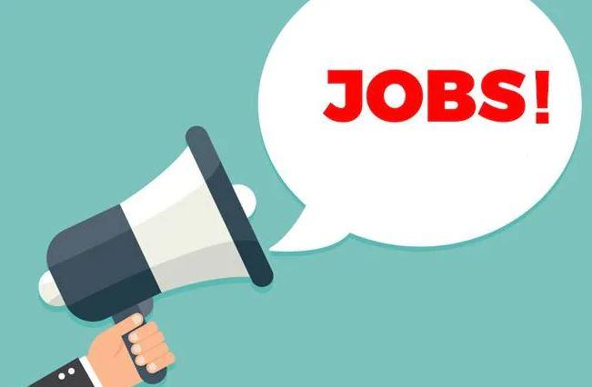 Sarkari Naukari: बैंक ऑफ बड़ौदा में निकली कई पदों पर भर्ती, 9 नवंबर से पहले करें आवेदन, जानें आयु-पात्रता