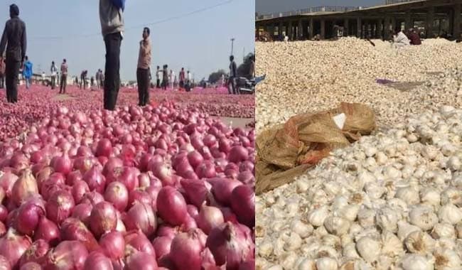 संकट में फिर किसान, औंधे मुंह गिरे प्‍याज-लहसुन के भाव, भाड़ा निकलना भी मुश्किल
