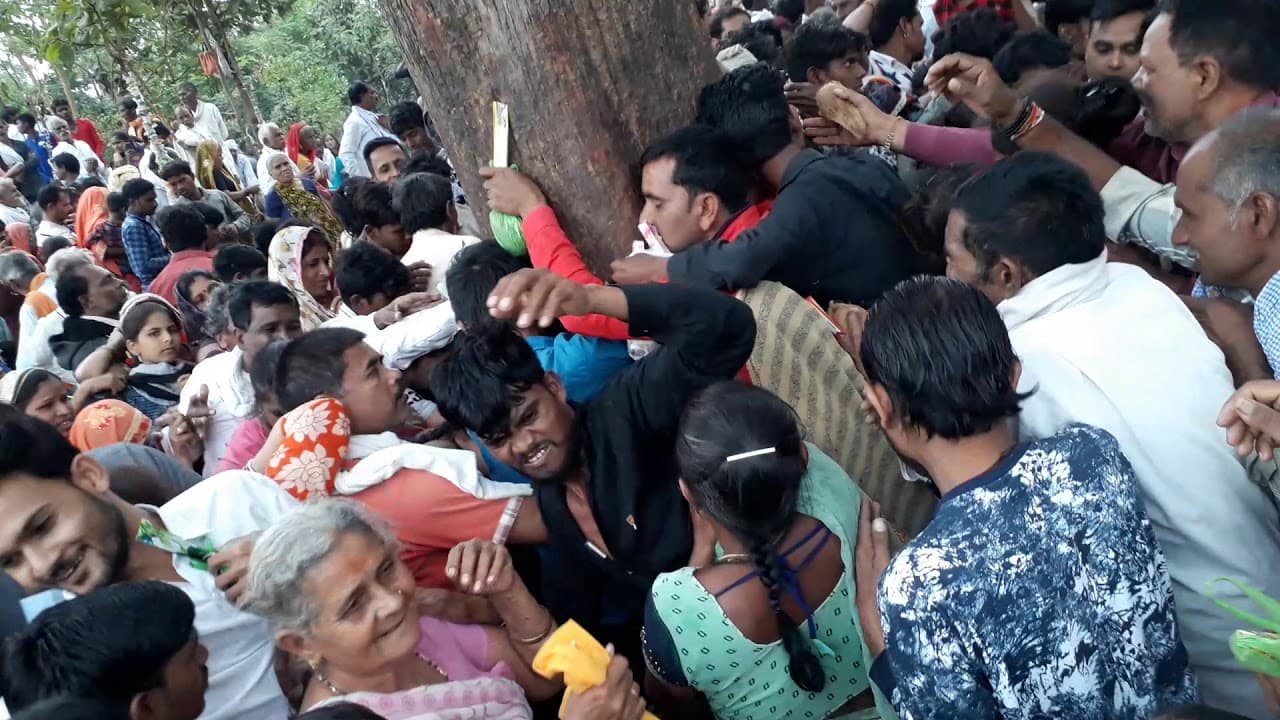 आस्था पर भारी अंधविश्वास: चमत्कारी पेड़ को छूने पहुंच रहे हजारों लोग, पुलिस परेशान