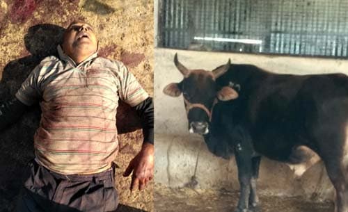 फार्म हाउस में चौकीदार की संदिग्ध परिस्थितियों में मौत, खून से लथपथ शव मिला