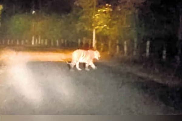 MP : यहां नतीजों से पहले प्रशासन ने लगाई धारा 144, इसके पीछे ये है वजह