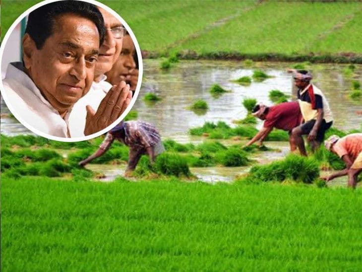MP उपचुनाव 2020 : कमलनाथ का मास्टर स्ट्रोक, किसानों को लेकर किया बड़ा ऐलान