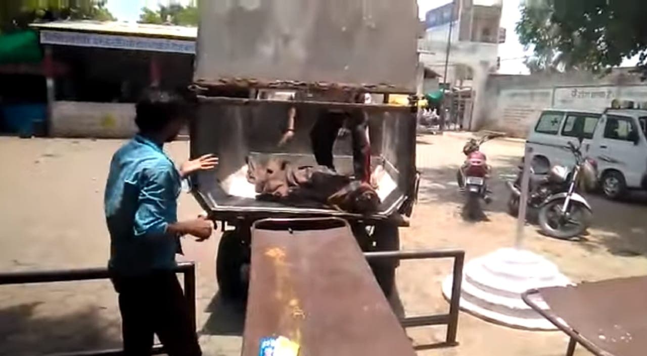 इंसानियत शर्मसार : अस्पताल में दो-दो शव वाहन, कर्मचारी कचरा वाहन से ले गए बॉडी