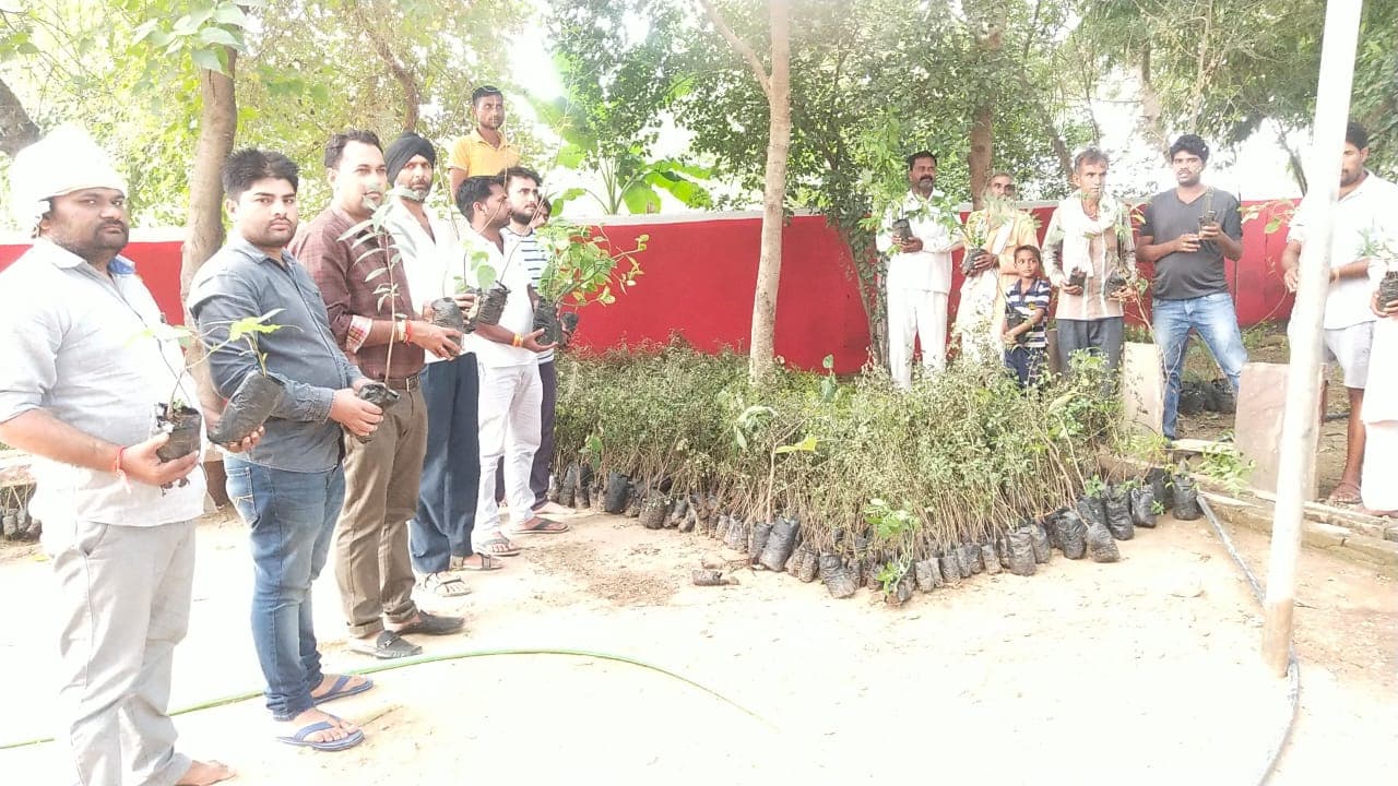 कोर्ट ने कहा- पहले 3000 पौधे लगाओ फिर करेंगे जमानत पर विचार, पौधरोपण में जुटे परिजन