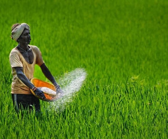 एमपी के किसानों के खाते में आएगी कर्जमाफी की राशि, कलेक्टरों को आदेश जारी