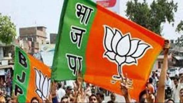बागी सांसद बढ़ाएंगे बीजेपी की टेंशन, एक पीछे हटे तो एक मैदान में डटे
