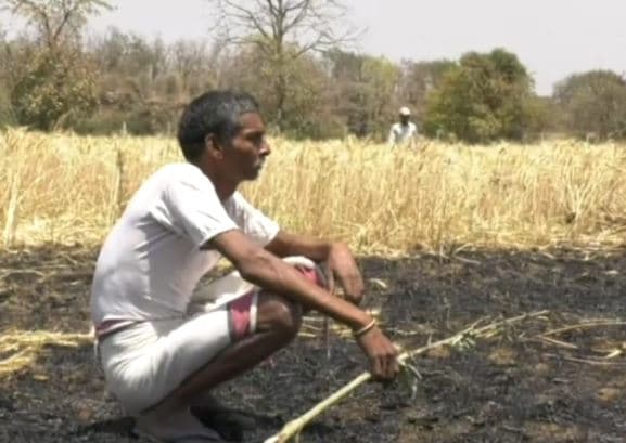 ट्रांसफर से निकली चिंगारी से भड़की आग, पांच एकड़ की फसल जलकर ख़ाक