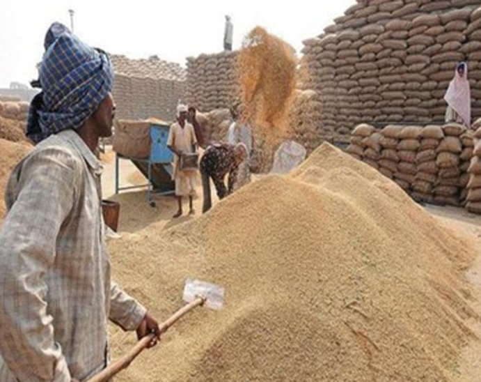किसानों को राहत, अब 25 जनवरी तक होगी धान की खरीदी, इन जिलों को मिलेगा फायदा