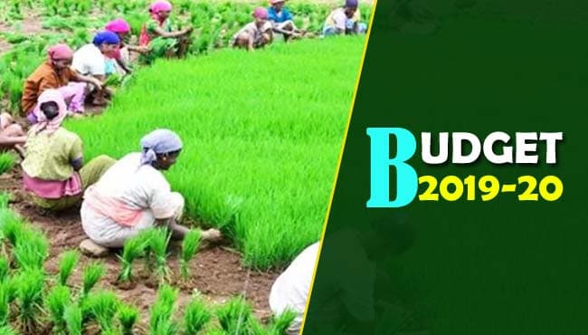 MP Budget 2019 : बजट में गांव, गरीब और किसान के लिए क्या है खास, पढ़िए यहां