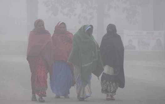 शीतलहर की चपेट में मध्य प्रदेश के यह जिले, अगले 24 घंटे ऐसा रहेगा मौसम