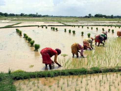 MP: रिमझिम से खिल उठे किसानों के चेहरे, अगले 24 घंटे ऐसा रहेगा मौसम